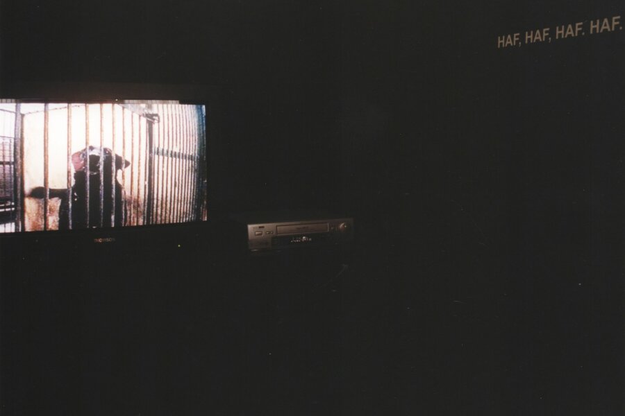 G99-22-6-foto-instalace-005.jpeg